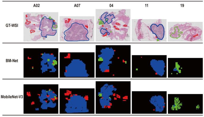 https://cdn.ncbi.nlm.nih.gov/pmc/blobs/cd0c/9220285/47e2e986cb64/bioengineering-09-00261-g004.jpg