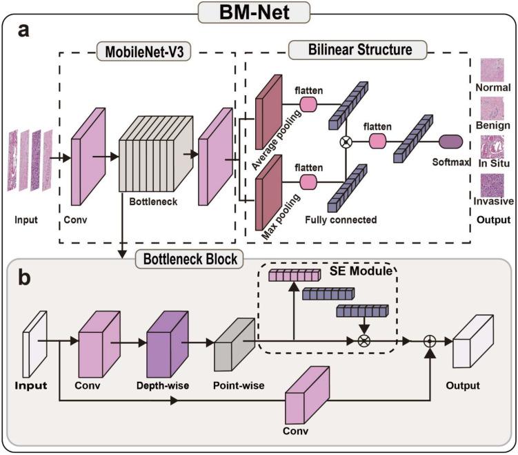 https://cdn.ncbi.nlm.nih.gov/pmc/blobs/cd0c/9220285/5999b31d0683/bioengineering-09-00261-g002.jpg