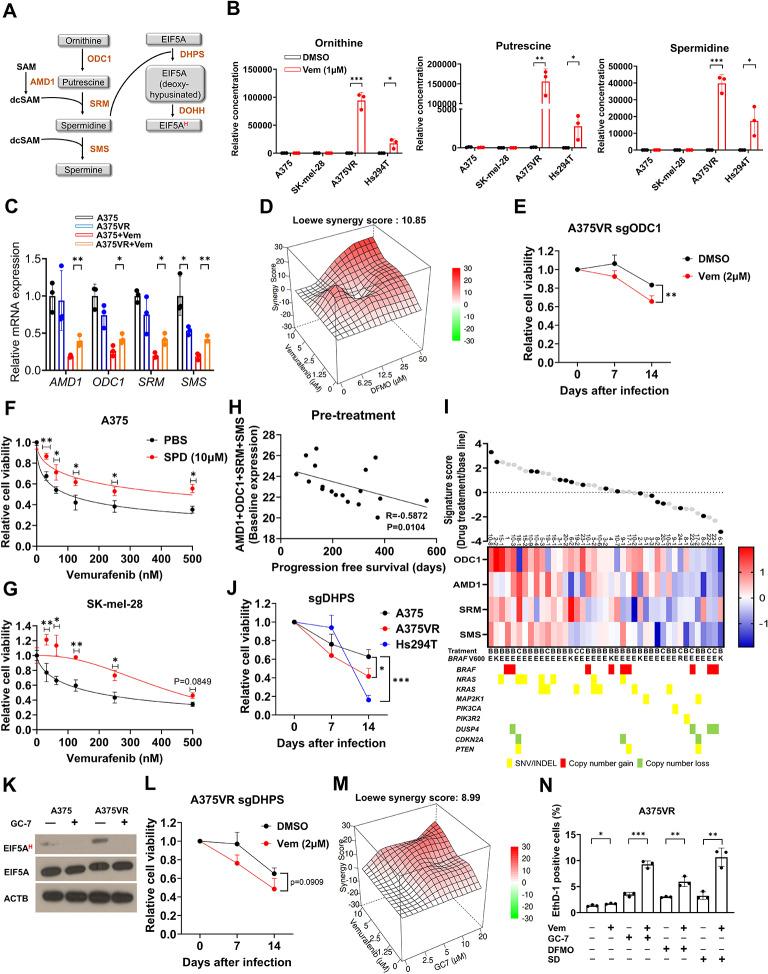 https://cdn.ncbi.nlm.nih.gov/pmc/blobs/cd0d/11223307/f6943e7c646d/12943_2024_2031_Fig2_HTML.jpg