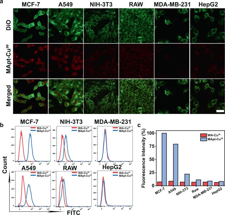 https://cdn.ncbi.nlm.nih.gov/pmc/blobs/cd0e/8933418/9608d46705db/41467_2022_29167_Fig3_HTML.jpg