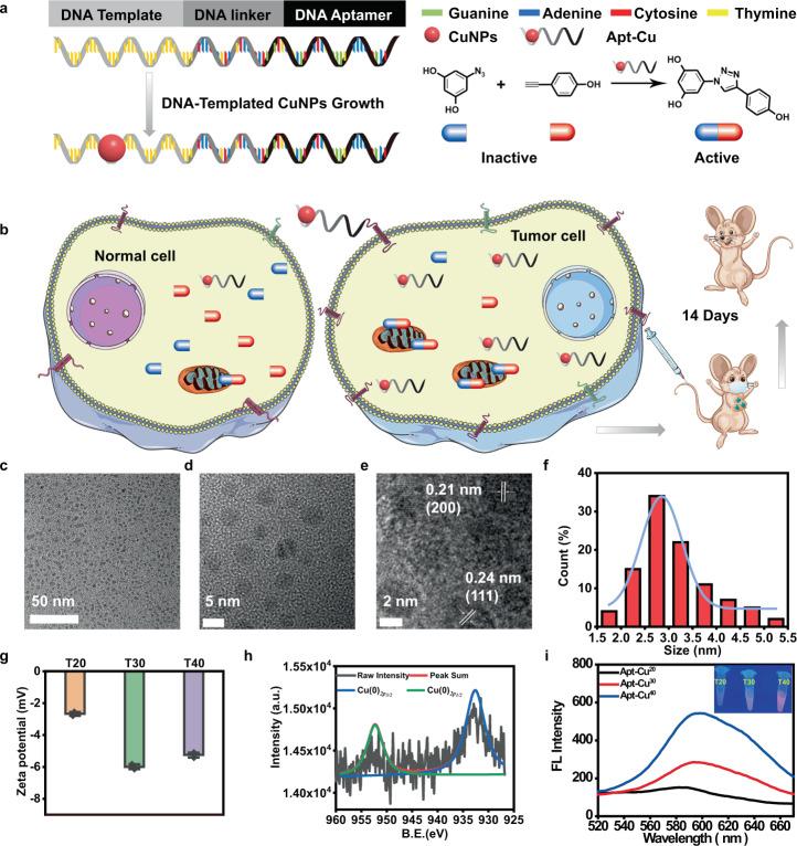 https://cdn.ncbi.nlm.nih.gov/pmc/blobs/cd0e/8933418/f6b0bc8aaecf/41467_2022_29167_Fig1_HTML.jpg