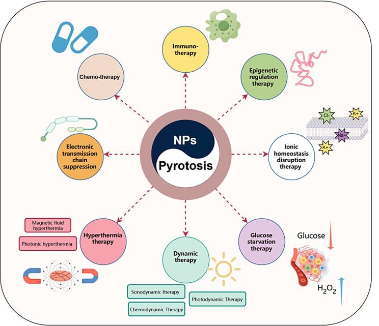 https://cdn.ncbi.nlm.nih.gov/pmc/blobs/cd10/11340130/a5932e7153d3/12951_2024_2763_Fig3_HTML.jpg