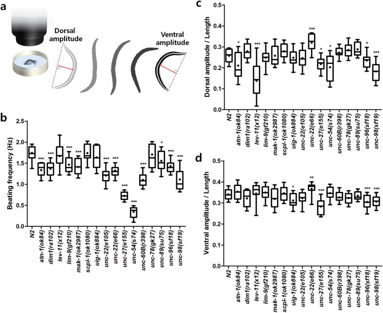 https://cdn.ncbi.nlm.nih.gov/pmc/blobs/cd10/4731793/e3b85582fea0/srep19900-f4.jpg