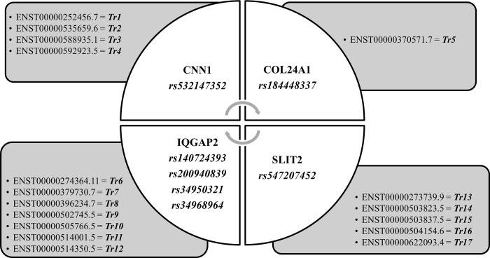 https://cdn.ncbi.nlm.nih.gov/pmc/blobs/cd10/9990928/9e14aa764d35/pone.0280305.g004.jpg
