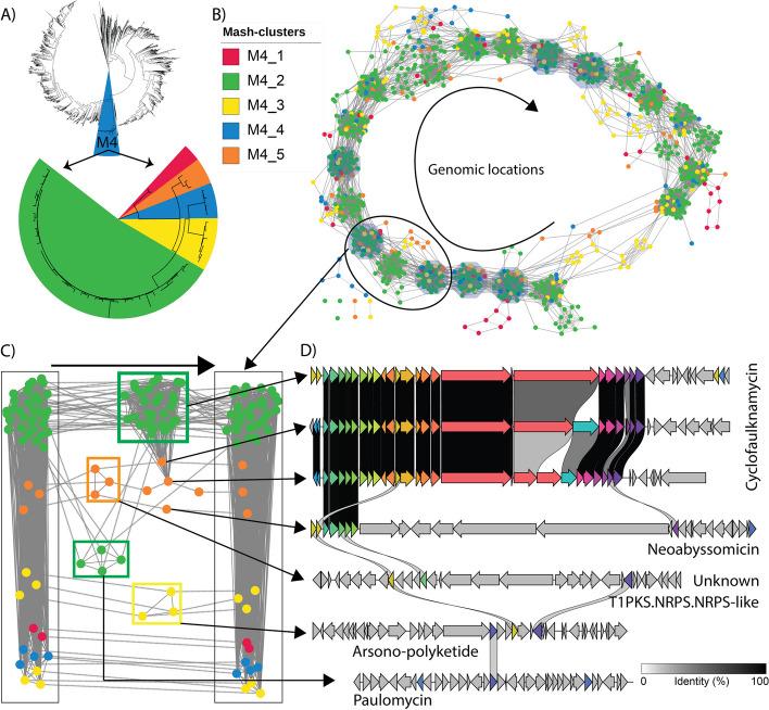 https://cdn.ncbi.nlm.nih.gov/pmc/blobs/cd11/11734326/75af6de3667c/13059_2024_3471_Fig4_HTML.jpg