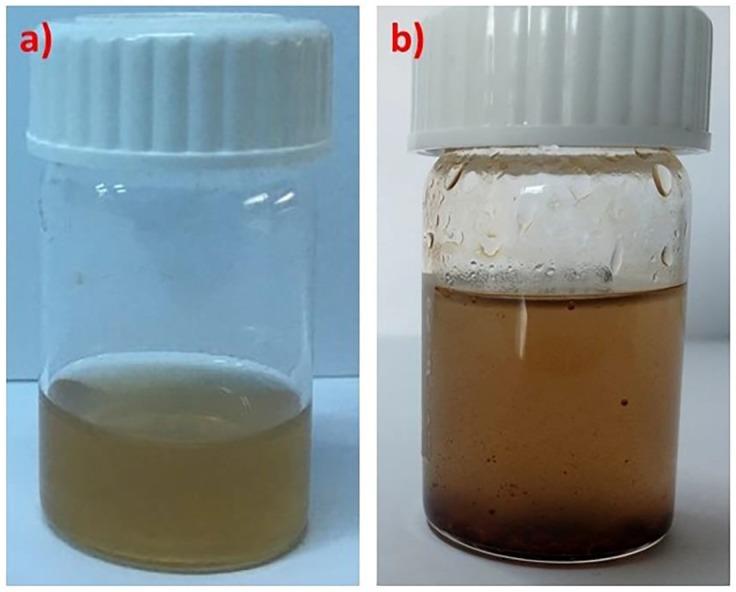 https://cdn.ncbi.nlm.nih.gov/pmc/blobs/cd12/6415048/3c2cb2dba8c3/polymers-10-00014-g001.jpg