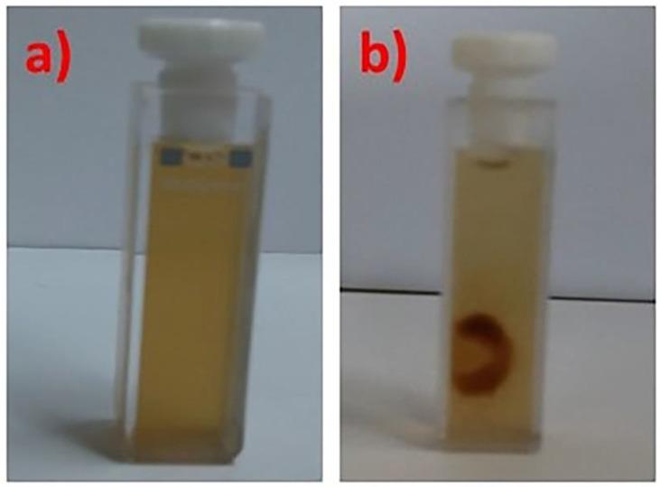 https://cdn.ncbi.nlm.nih.gov/pmc/blobs/cd12/6415048/742fa8e3e6bc/polymers-10-00014-g003.jpg