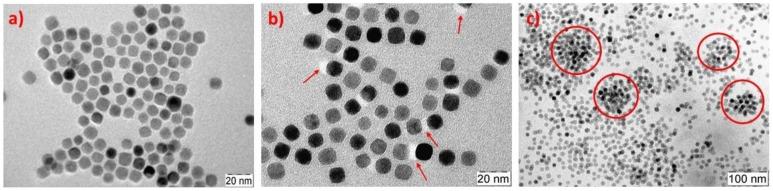 https://cdn.ncbi.nlm.nih.gov/pmc/blobs/cd12/6415048/c583fad27ba4/polymers-10-00014-g005.jpg