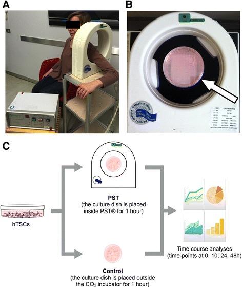 https://cdn.ncbi.nlm.nih.gov/pmc/blobs/cd13/4989537/ed044a3f814c/12906_2016_1261_Fig2_HTML.jpg