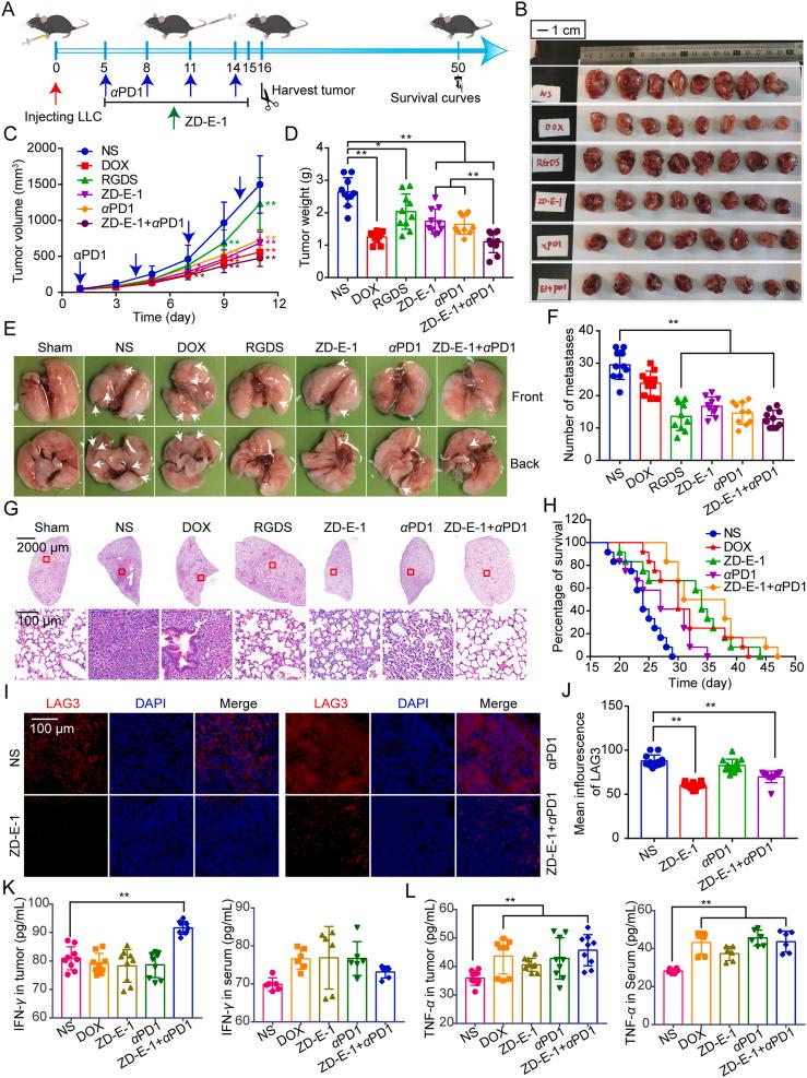 https://cdn.ncbi.nlm.nih.gov/pmc/blobs/cd13/9136569/de9a5aaf0469/gr8.jpg