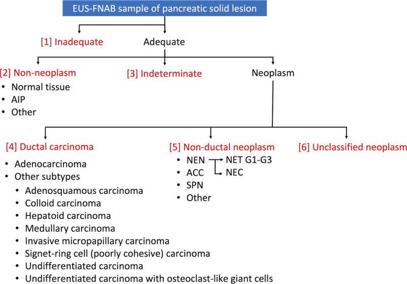 https://cdn.ncbi.nlm.nih.gov/pmc/blobs/cd19/10144294/20a72e300b56/pancreas-51-1105-g007.jpg