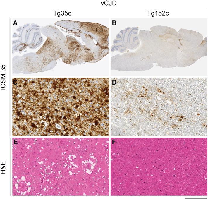 https://cdn.ncbi.nlm.nih.gov/pmc/blobs/cd1a/5946165/6b460f0ba092/gr3.jpg