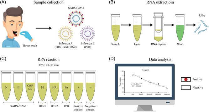 https://cdn.ncbi.nlm.nih.gov/pmc/blobs/cd1d/9538624/a34b09efc440/JMV-9999-0-g005.jpg