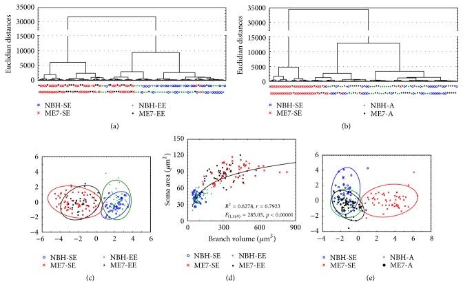 https://cdn.ncbi.nlm.nih.gov/pmc/blobs/cd1e/5294381/80f1d5ab69d2/OMCL2017-4504925.010.jpg