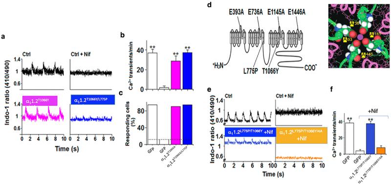 https://cdn.ncbi.nlm.nih.gov/pmc/blobs/cd1f/11017947/21994afffff4/KCHL_A_2341077_F0008_OC.jpg