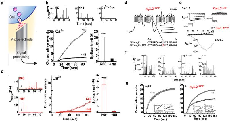 https://cdn.ncbi.nlm.nih.gov/pmc/blobs/cd1f/11017947/4df5419b60b3/KCHL_A_2341077_F0006_OC.jpg