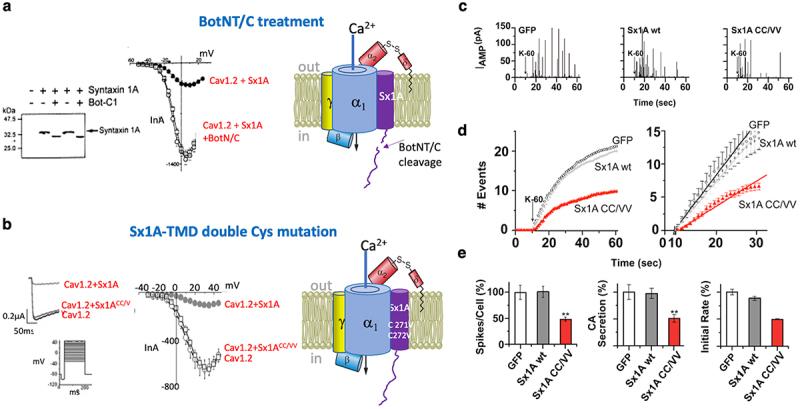 https://cdn.ncbi.nlm.nih.gov/pmc/blobs/cd1f/11017947/dff1242f4400/KCHL_A_2341077_F0004_OC.jpg