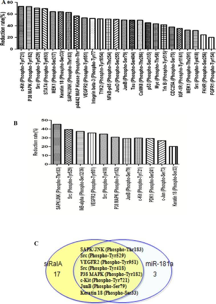 https://cdn.ncbi.nlm.nih.gov/pmc/blobs/cd20/4991475/aba4dfb8828d/oncotarget-07-20561-g006.jpg