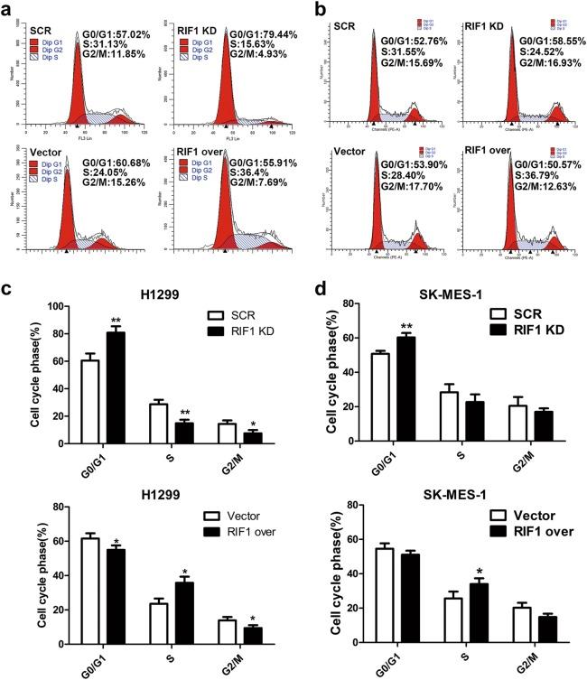 https://cdn.ncbi.nlm.nih.gov/pmc/blobs/cd27/6148239/537ccbb4d7ed/41419_2018_972_Fig3_HTML.jpg