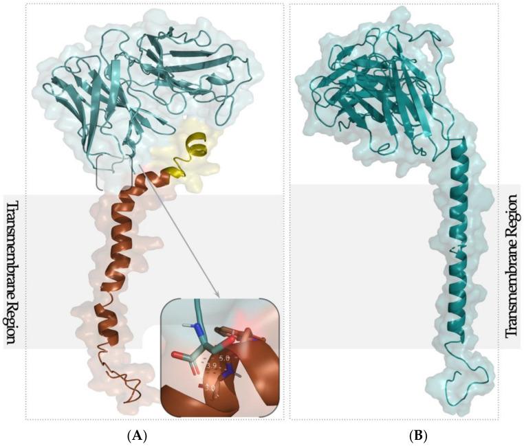 https://cdn.ncbi.nlm.nih.gov/pmc/blobs/cd29/8037128/76bf51b74ee6/ijms-22-03547-g001.jpg