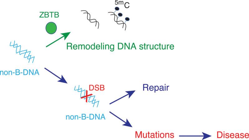 https://cdn.ncbi.nlm.nih.gov/pmc/blobs/cd2b/9788570/2f1e50f64760/BST-50-1875-g0003.jpg