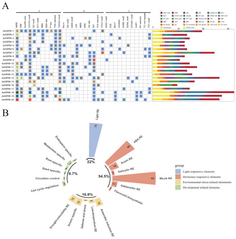 https://cdn.ncbi.nlm.nih.gov/pmc/blobs/cd2c/10889330/a015d75521eb/ijms-25-02305-g006.jpg