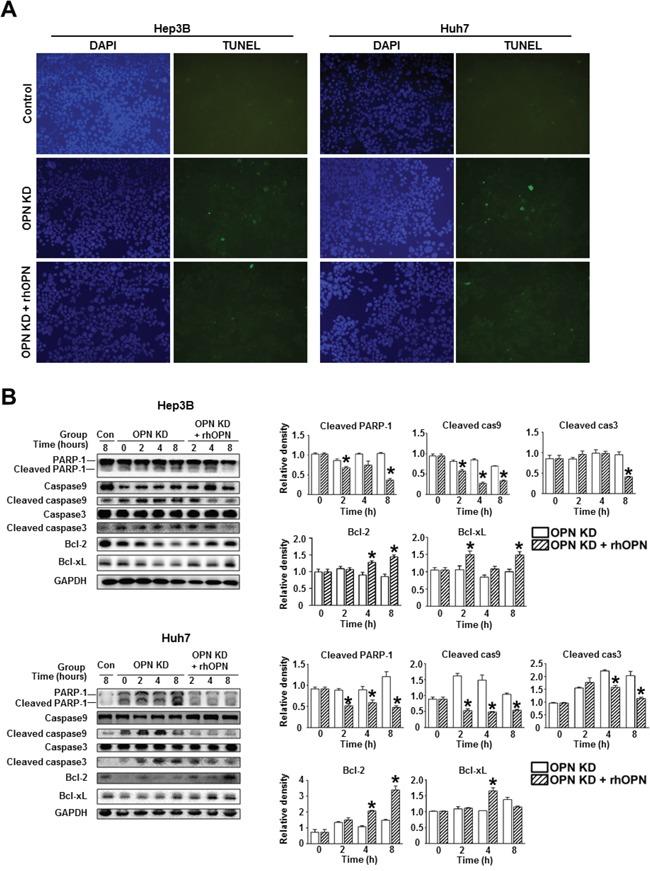 https://cdn.ncbi.nlm.nih.gov/pmc/blobs/cd2d/5349983/afda8cd59912/oncotarget-07-87219-g004.jpg