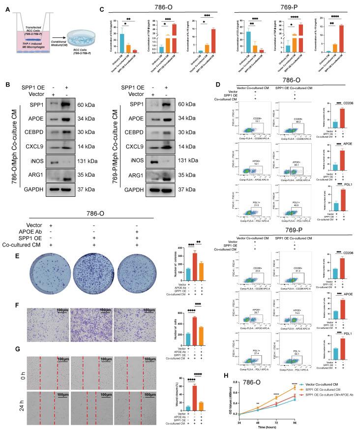 https://cdn.ncbi.nlm.nih.gov/pmc/blobs/cd2e/12036886/0ce7aaa82024/thnov15p5312g009.jpg