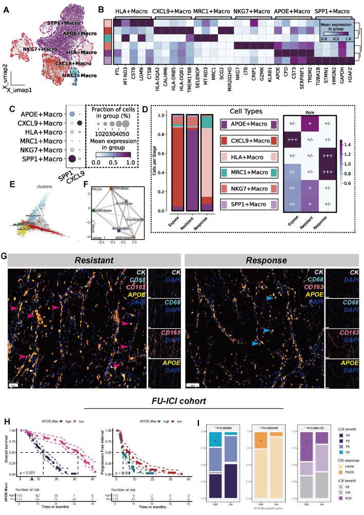 https://cdn.ncbi.nlm.nih.gov/pmc/blobs/cd2e/12036886/38d61719c5a5/thnov15p5312g002.jpg