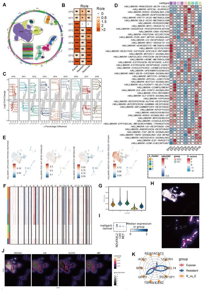 https://cdn.ncbi.nlm.nih.gov/pmc/blobs/cd2e/12036886/5734042497a6/thnov15p5312g004.jpg