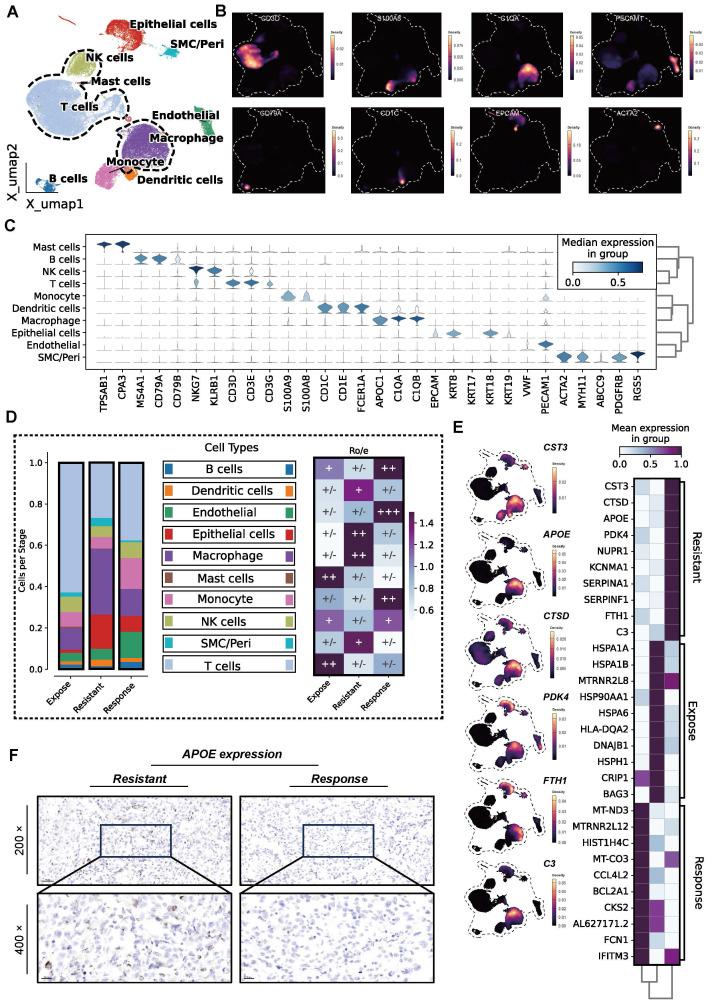 https://cdn.ncbi.nlm.nih.gov/pmc/blobs/cd2e/12036886/605299c30402/thnov15p5312g001.jpg