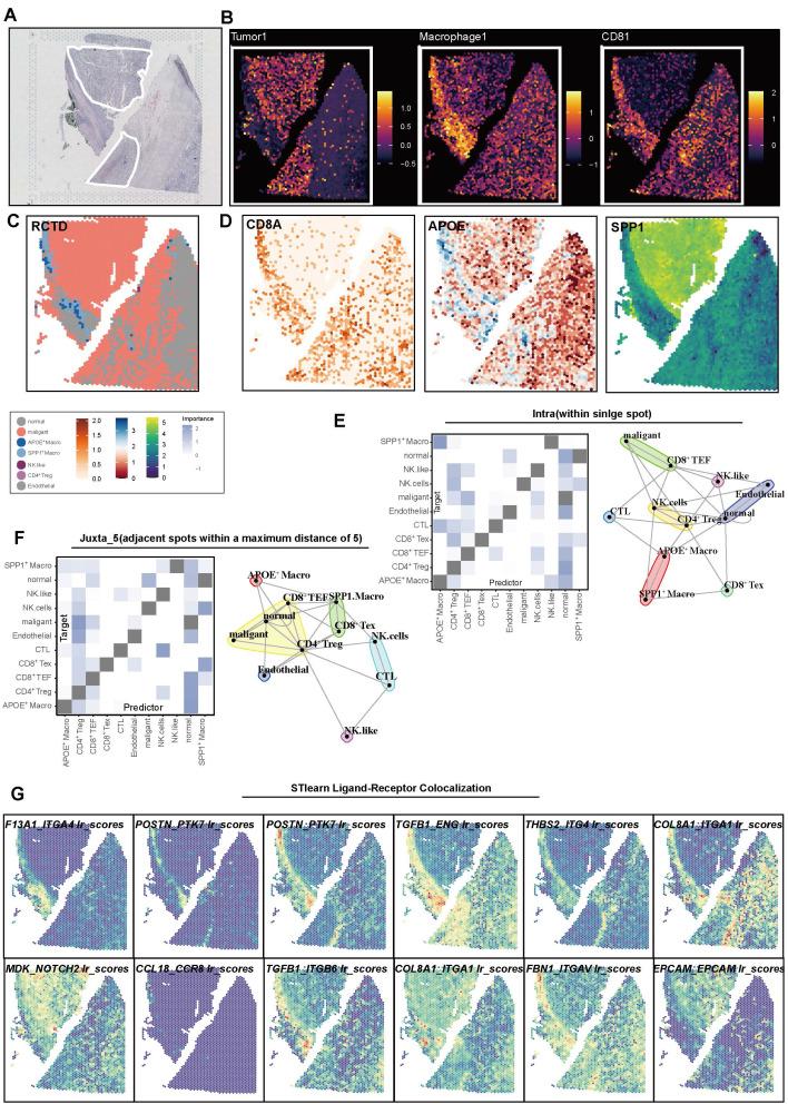 https://cdn.ncbi.nlm.nih.gov/pmc/blobs/cd2e/12036886/95c9975abde0/thnov15p5312g007.jpg