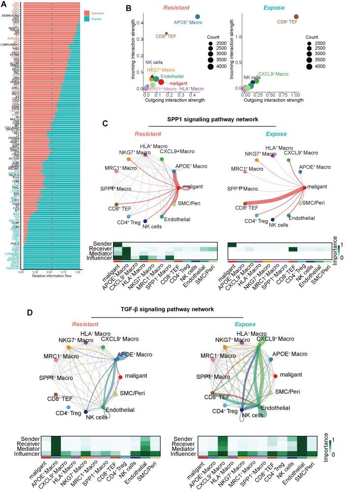 https://cdn.ncbi.nlm.nih.gov/pmc/blobs/cd2e/12036886/a61d87df78a3/thnov15p5312g006.jpg
