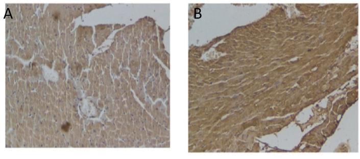 https://cdn.ncbi.nlm.nih.gov/pmc/blobs/cd31/10796980/16f730359512/gr3.jpg