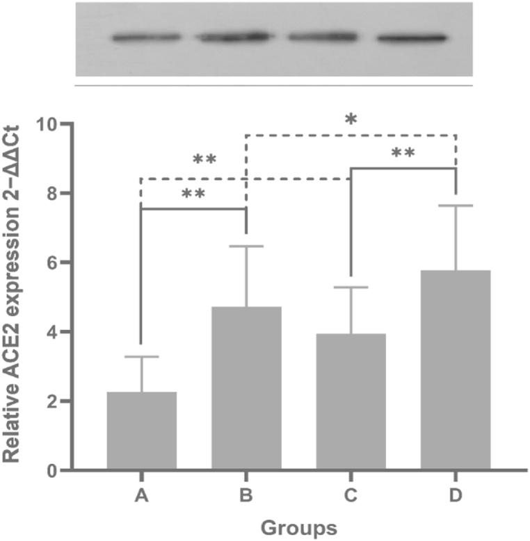 https://cdn.ncbi.nlm.nih.gov/pmc/blobs/cd31/10796980/9331384413aa/gr5.jpg