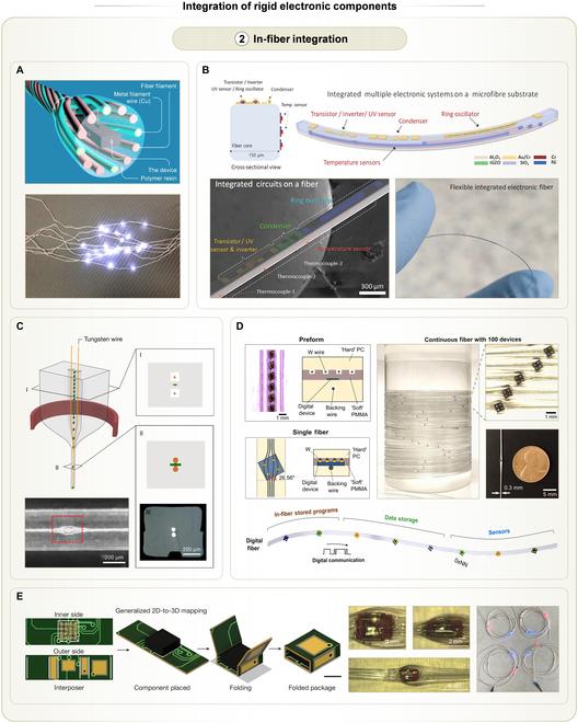 https://cdn.ncbi.nlm.nih.gov/pmc/blobs/cd32/12287603/2e48ae19ee94/research.0779.fig.007.jpg