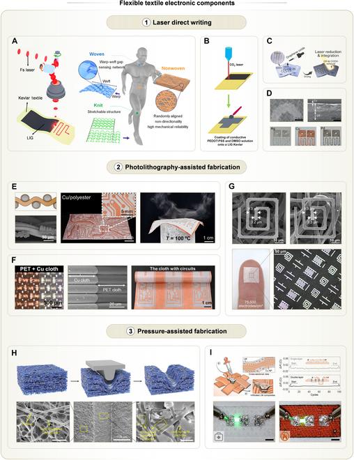https://cdn.ncbi.nlm.nih.gov/pmc/blobs/cd32/12287603/4ddb158634bc/research.0779.fig.005.jpg