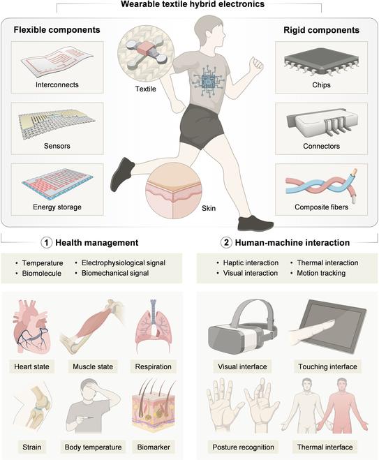 https://cdn.ncbi.nlm.nih.gov/pmc/blobs/cd32/12287603/571782b6482e/research.0779.fig.001.jpg