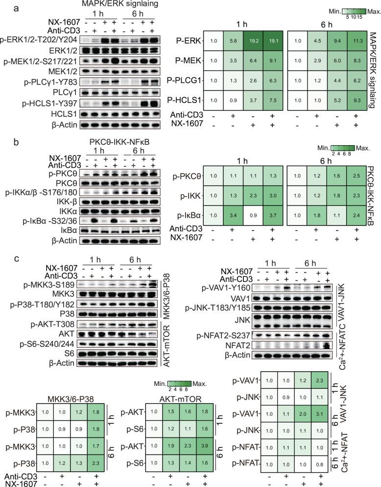 https://cdn.ncbi.nlm.nih.gov/pmc/blobs/cd33/12128433/51933f3d57a5/jitc-13-5-g003.jpg
