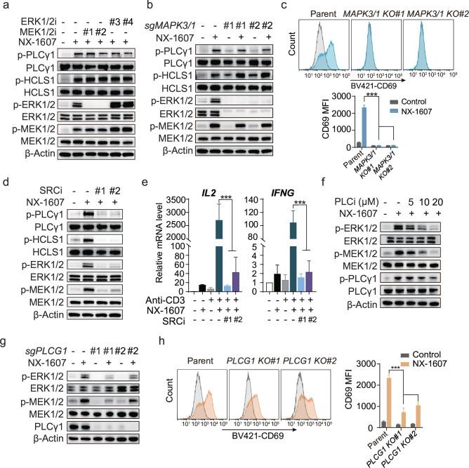 https://cdn.ncbi.nlm.nih.gov/pmc/blobs/cd33/12128433/9ed175515f36/jitc-13-5-g005.jpg
