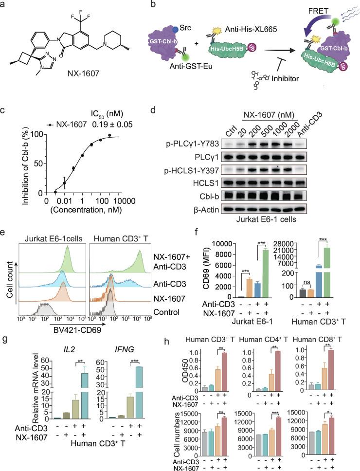 https://cdn.ncbi.nlm.nih.gov/pmc/blobs/cd33/12128433/a5fcede695bf/jitc-13-5-g001.jpg