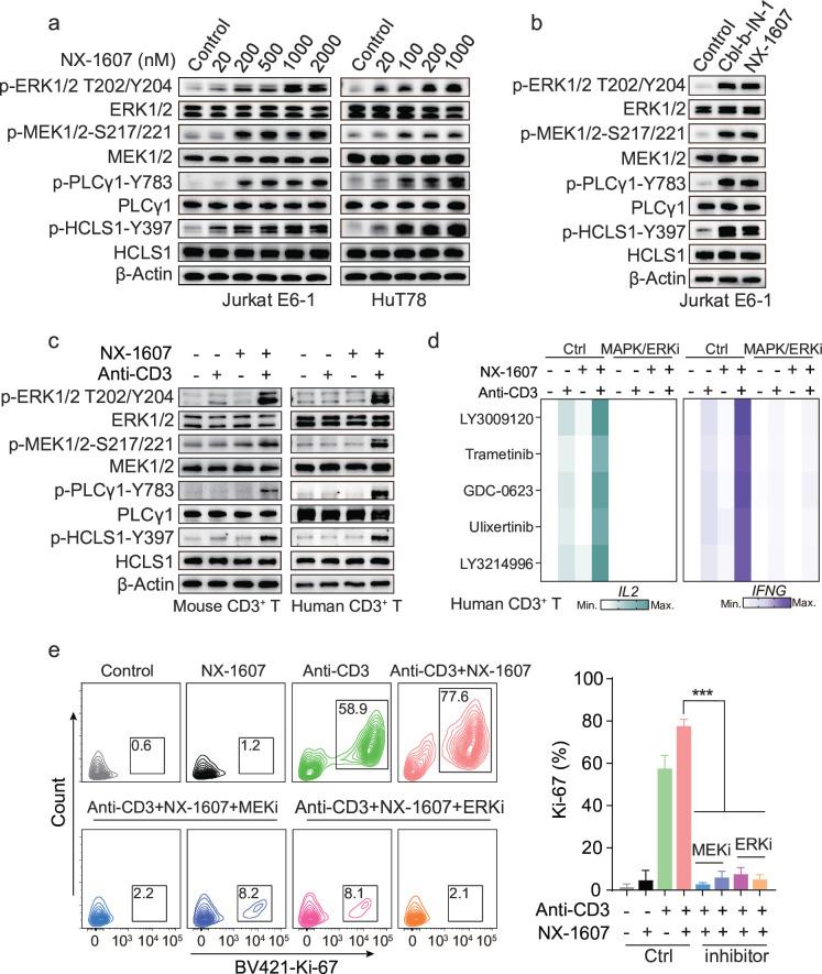 https://cdn.ncbi.nlm.nih.gov/pmc/blobs/cd33/12128433/f415d0469118/jitc-13-5-g004.jpg