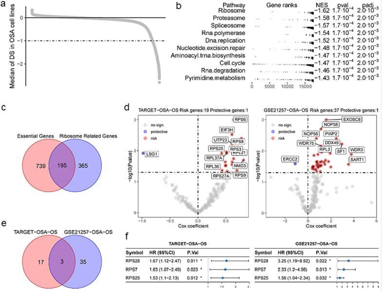 https://cdn.ncbi.nlm.nih.gov/pmc/blobs/cd34/10776981/39ae33d42ad8/gr1.jpg