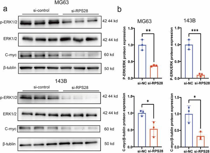 https://cdn.ncbi.nlm.nih.gov/pmc/blobs/cd34/10776981/da777202d2bc/gr6.jpg