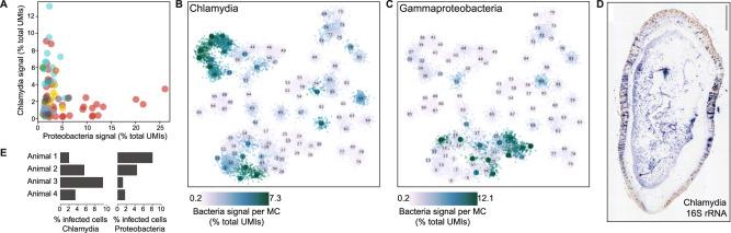 https://cdn.ncbi.nlm.nih.gov/pmc/blobs/cd36/10951248/0c3a9103af2f/41467_2024_45956_Fig4_HTML.jpg