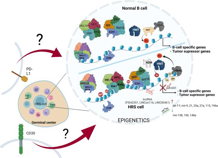 https://cdn.ncbi.nlm.nih.gov/pmc/blobs/cd37/10230546/8b31045a2cc8/fimmu-14-1155468-g003.jpg