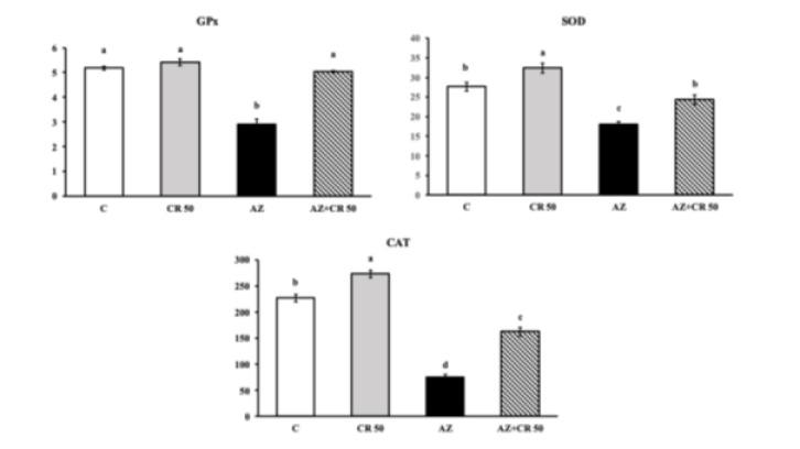https://cdn.ncbi.nlm.nih.gov/pmc/blobs/cd39/12399064/4b793e9ed106/IJBMS-28-1335-g002.jpg