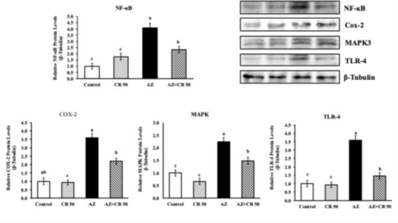 https://cdn.ncbi.nlm.nih.gov/pmc/blobs/cd39/12399064/808a6dced0b9/IJBMS-28-1335-g004.jpg