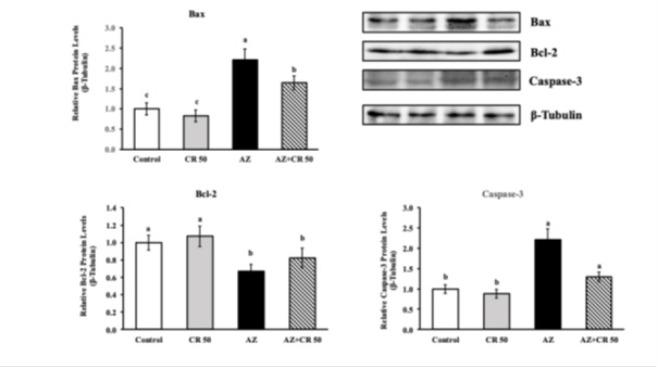 https://cdn.ncbi.nlm.nih.gov/pmc/blobs/cd39/12399064/bd059801f4ea/IJBMS-28-1335-g003.jpg