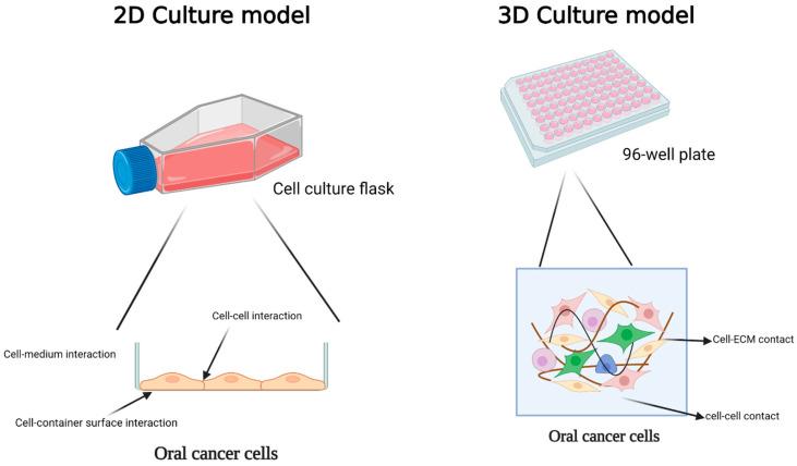 https://cdn.ncbi.nlm.nih.gov/pmc/blobs/cd3a/10487272/69cf779aaa1b/cancers-15-04266-g001.jpg